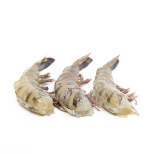 Scampi's BT 16/20 Easy Peel